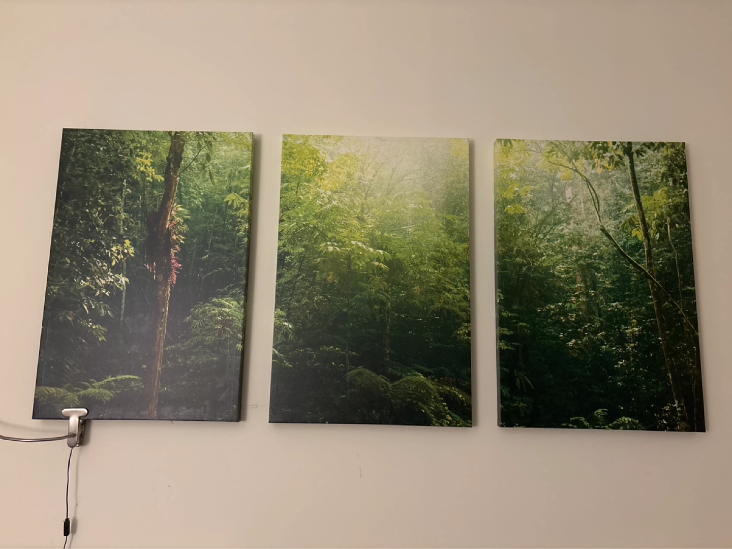Set of 3 Forest Scene Canvas Prints