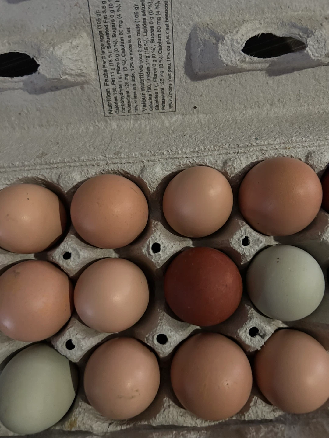 Assorted Large Eggs in Carton