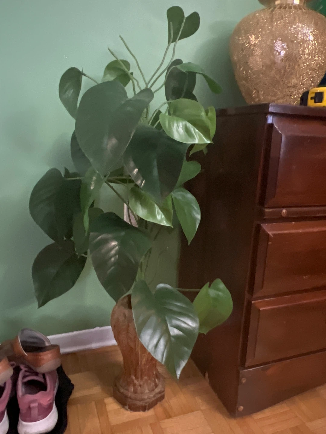 Healthy Pothos Plant in Decorative Pot