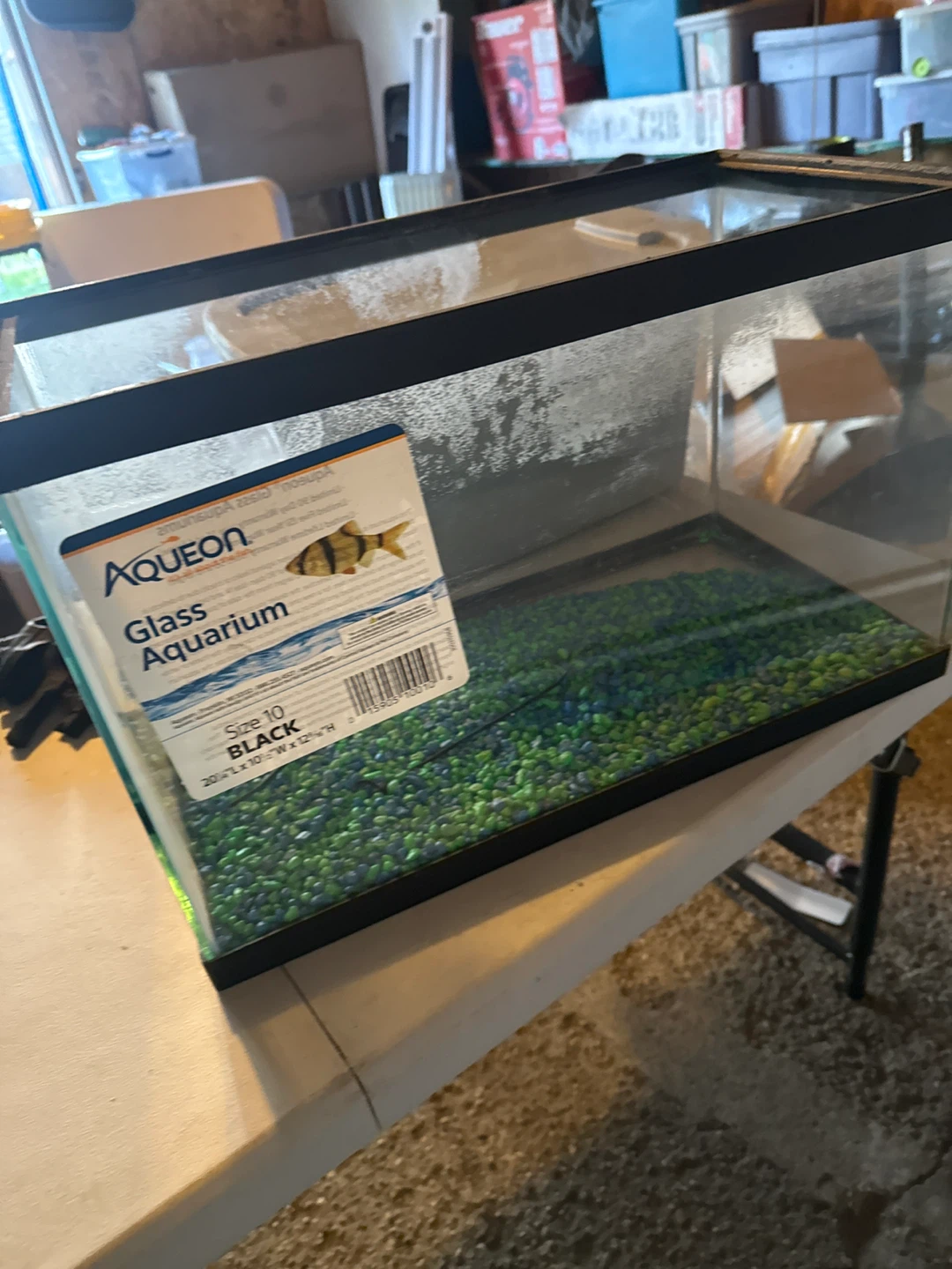 Aqueon 10 Gallon Glass Aquarium