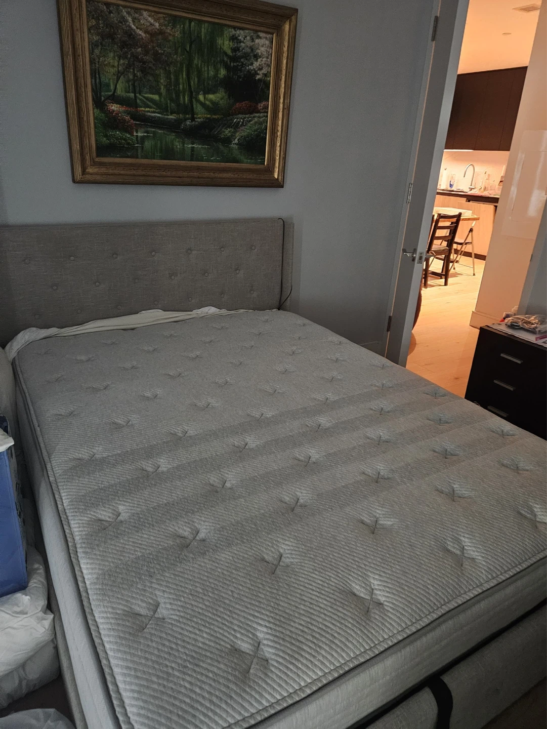 Queen Leesa Studio Chill Mattress