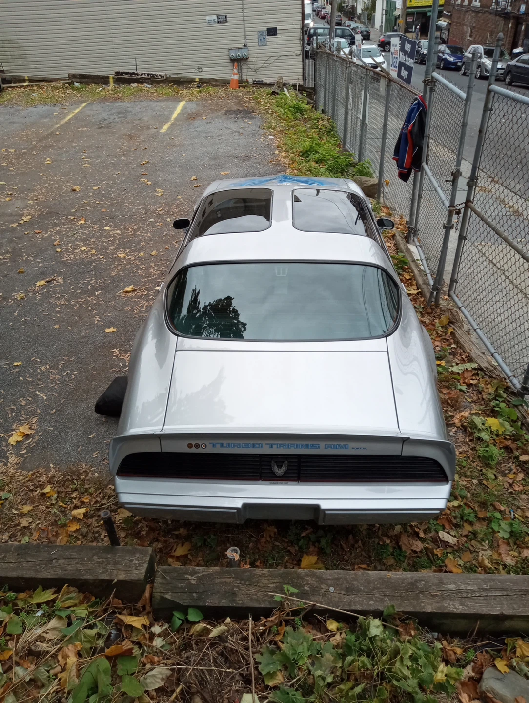 1981 Pontiac Trans Am Turbo - photo 2