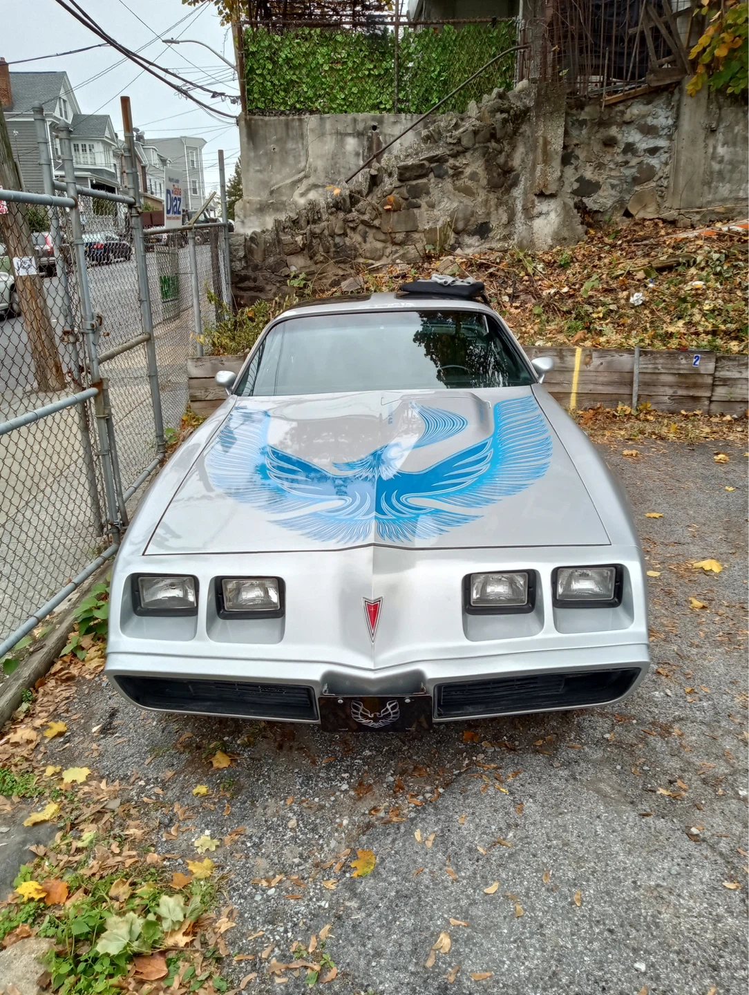 1981 Pontiac Trans Am Turbo - photo 4