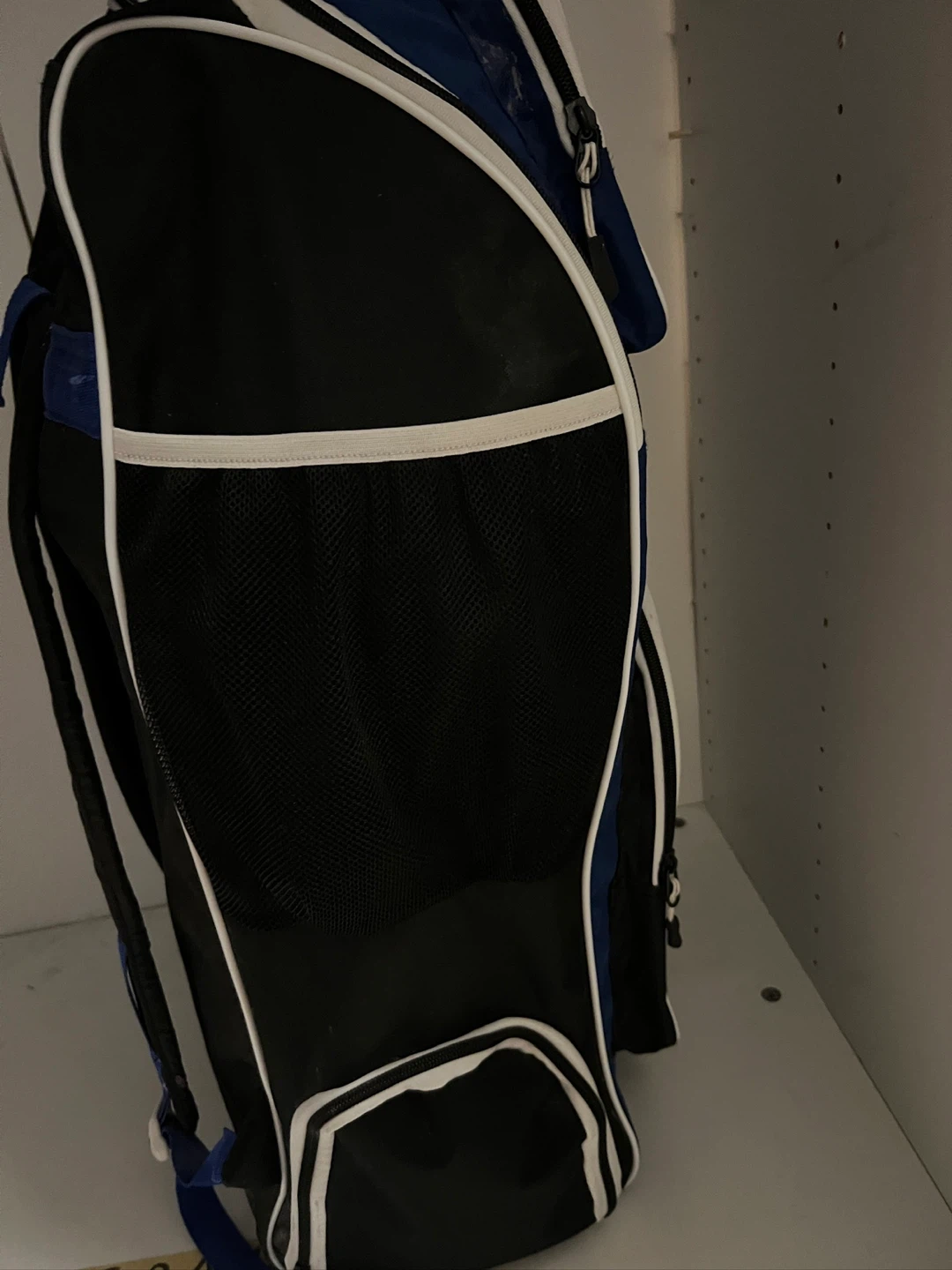Ezeepak SG Cricket Bag