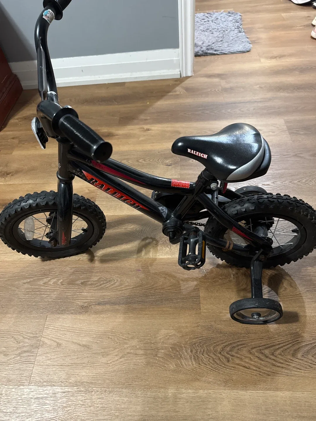 Raleigh Kids Bicycle