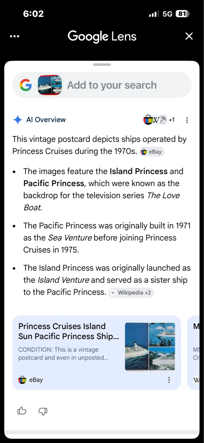 Princess Cruises Vintage Postcard - photo 4