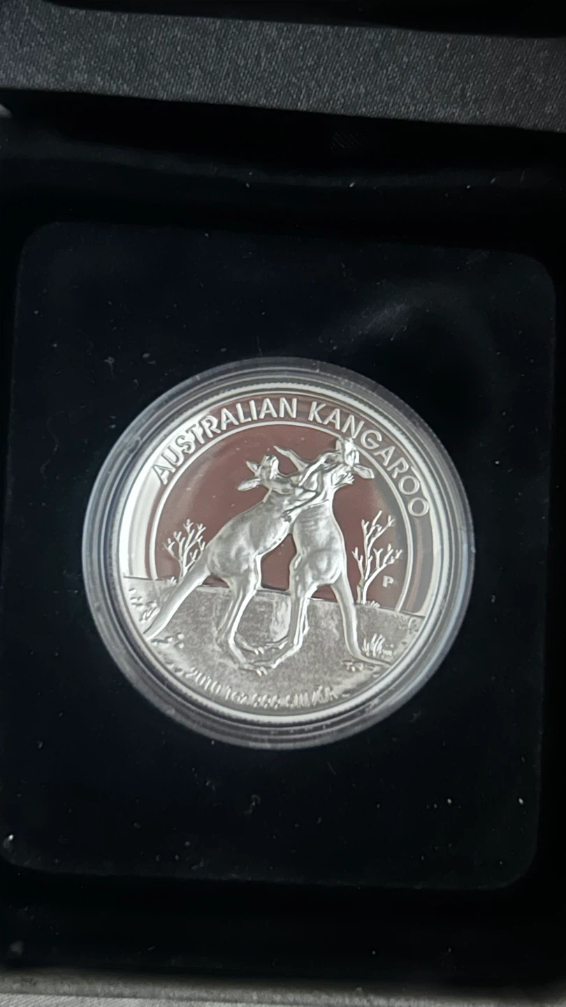 2010 Perth Mint 1oz Silver Proof Australian Kangaroo Coin - photo 2