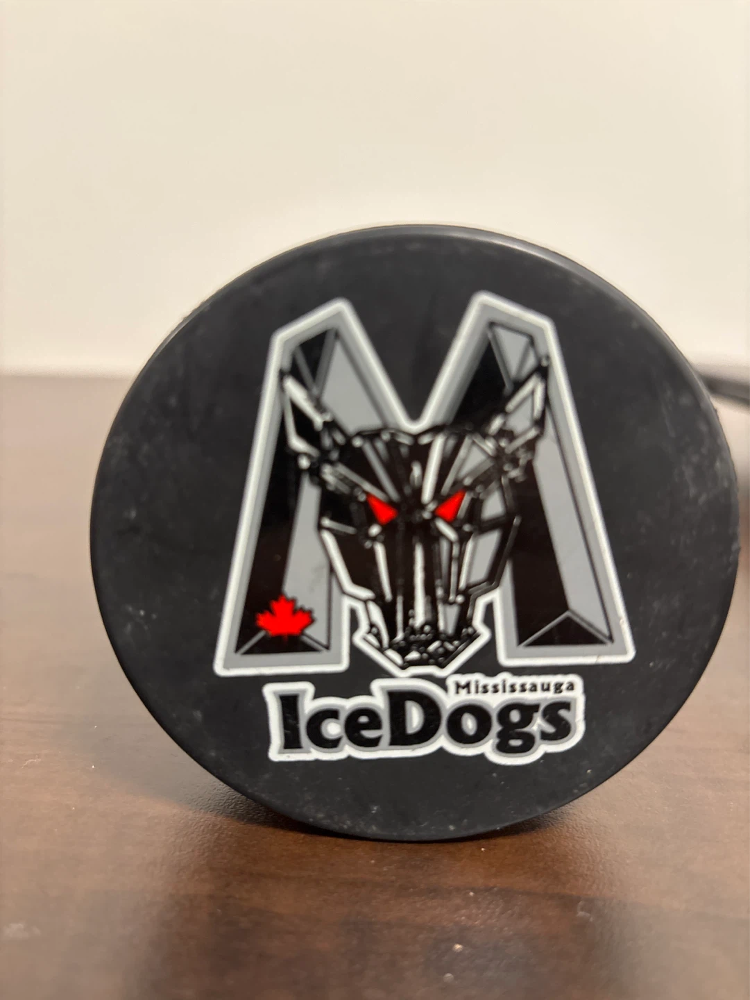 Mississauga IceDogs Hockey Puck