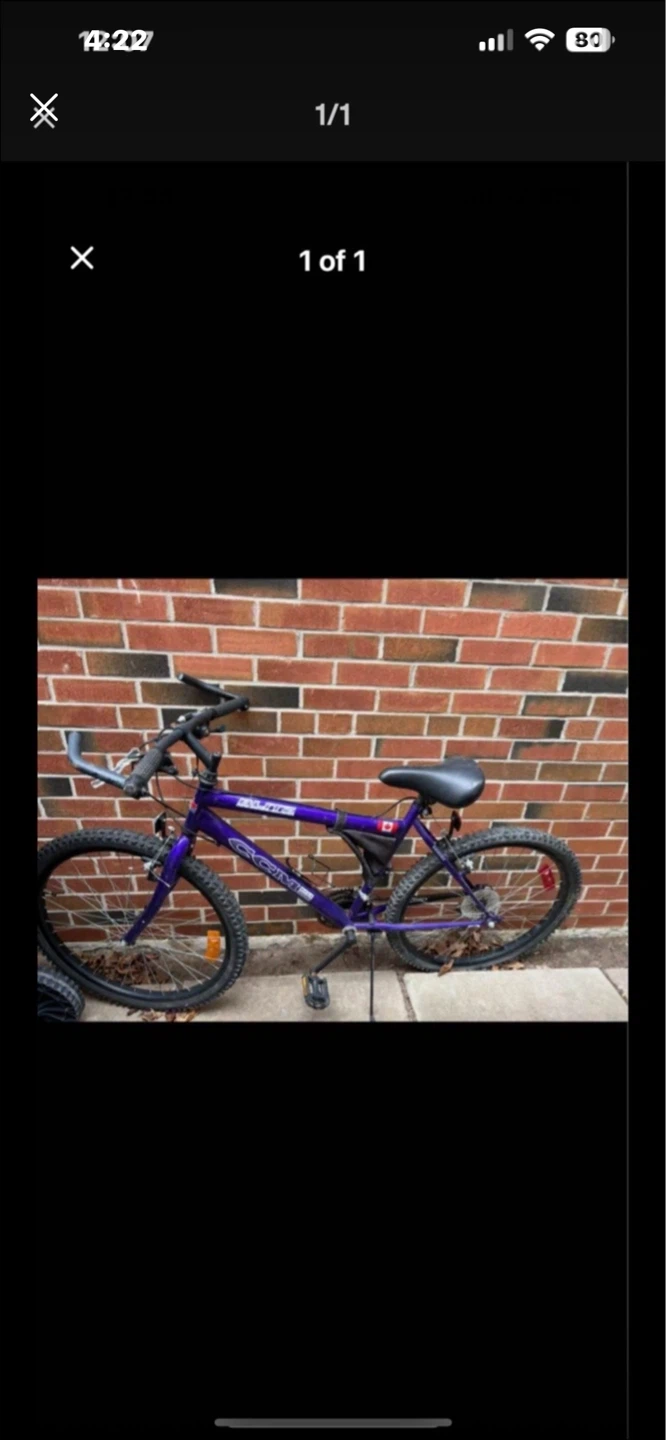 Purple CCM Mountain Bike