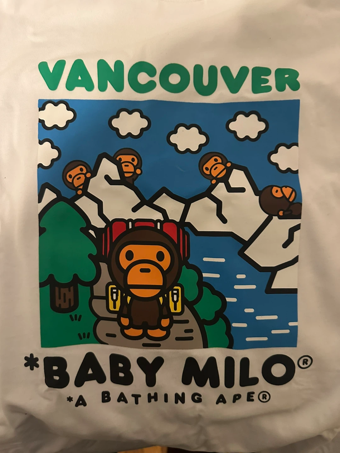 A Bathing Ape Baby Milo Vancouver T-Shirt Size L