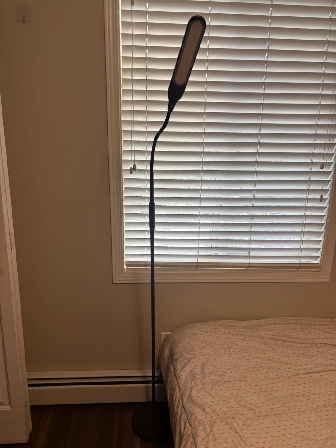 Adjustable LED Floor Lamp
