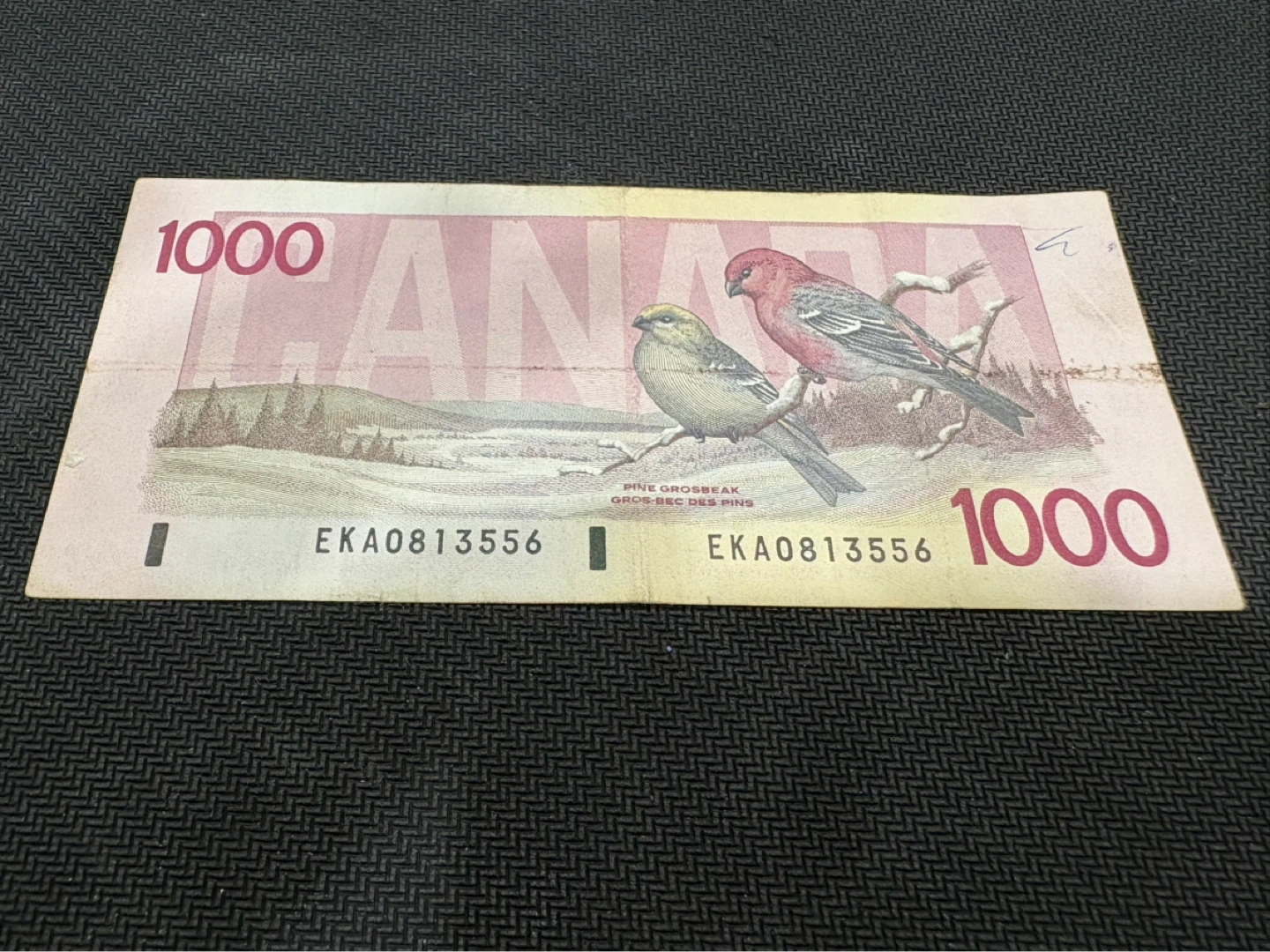 1000 Dollar Bank Note - Canada 1988 - photo 2