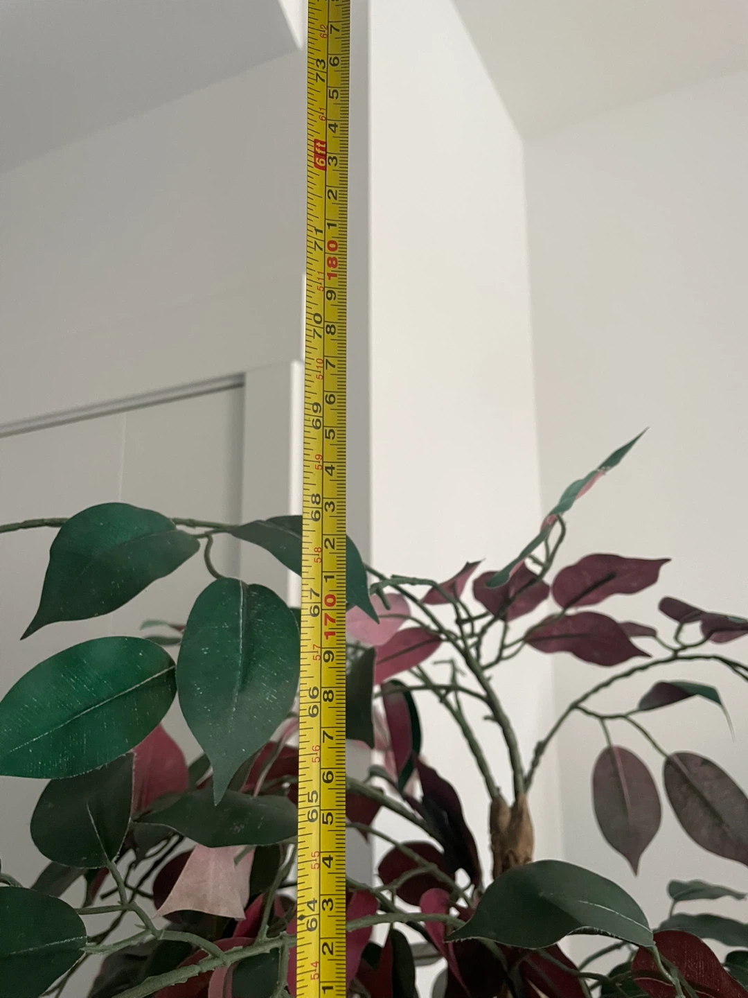 Artificial Ficus Tree - photo 5
