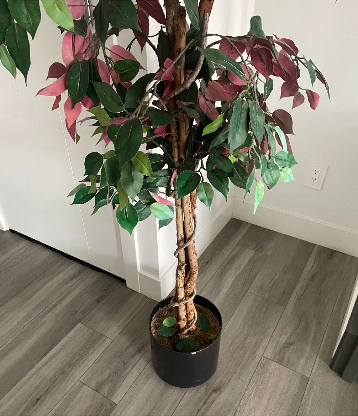 Artificial Ficus Tree - photo 3
