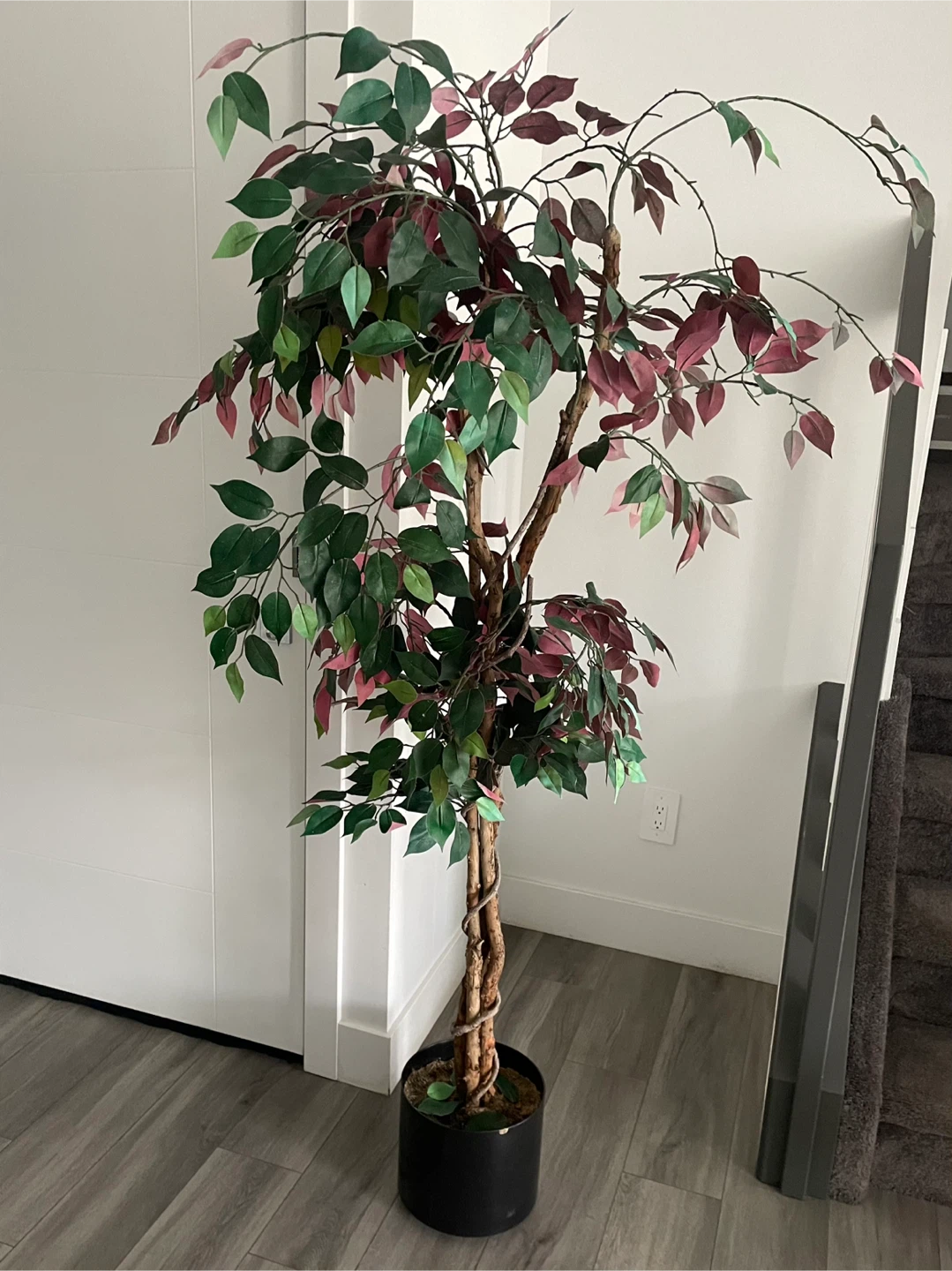 Artificial Ficus Tree