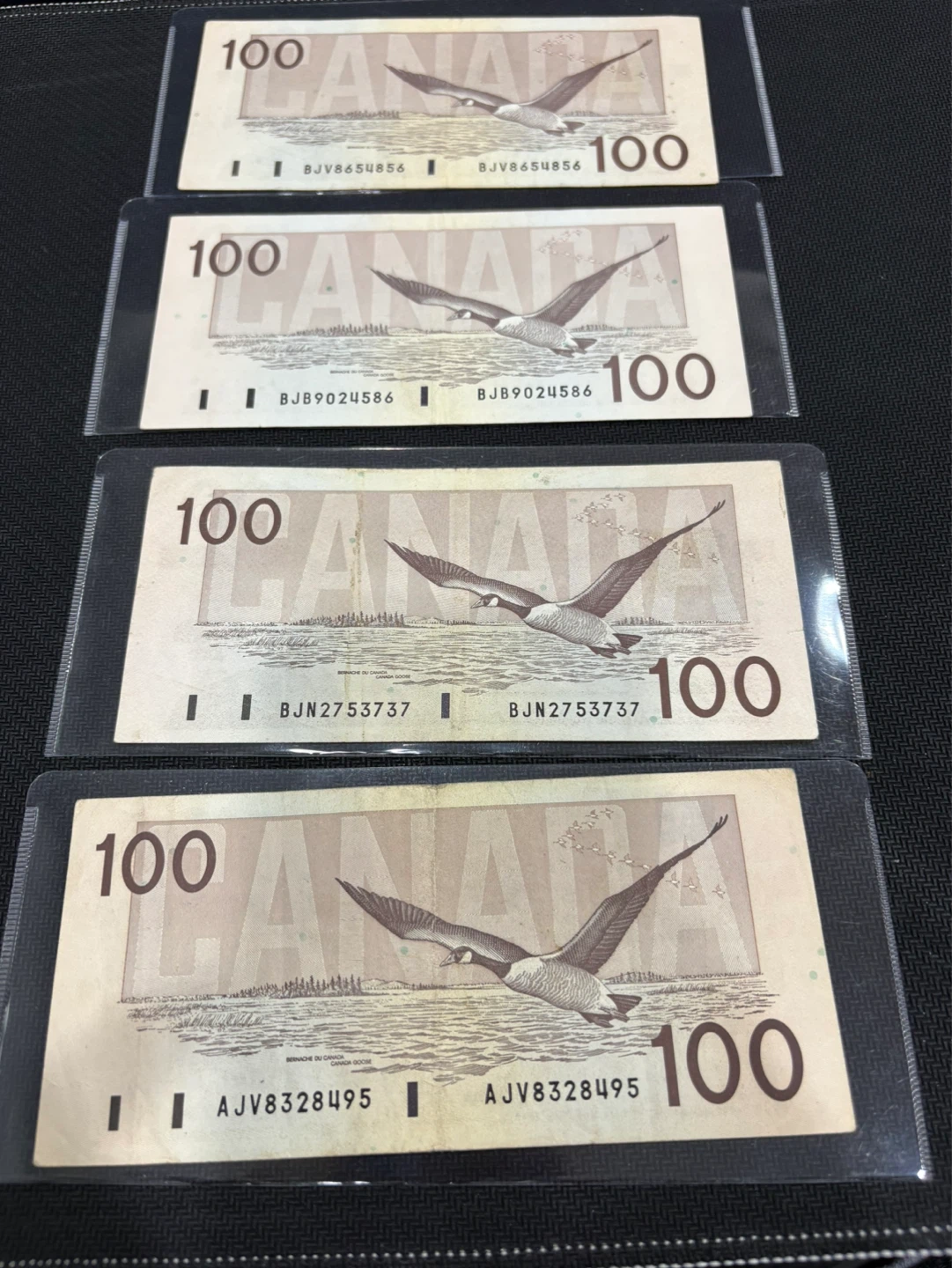 Canada 100 Dollar Bills - Set of 4 -1988 Bird series bank note - photo 2