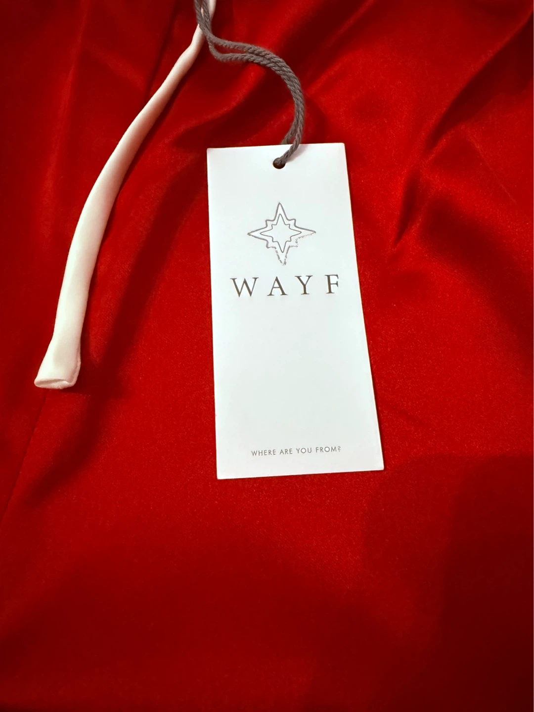 WAYF Red Satin Stripe Track Pants - photo 5