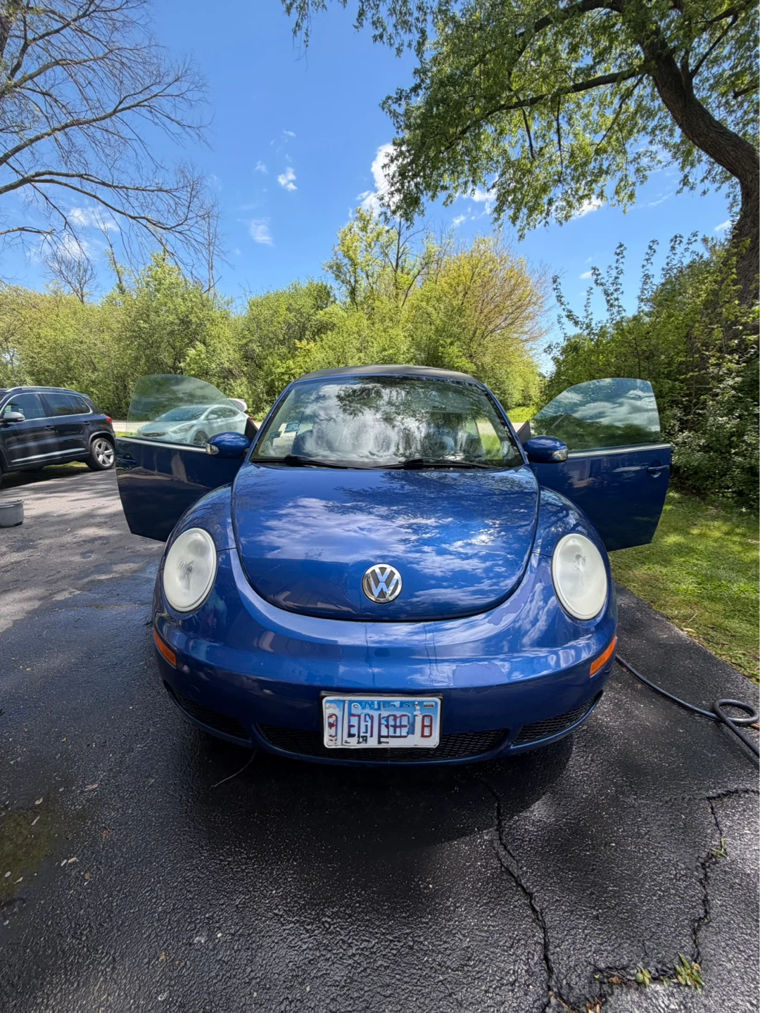 Blue Volkswagen Beetle Convertible - photo 3