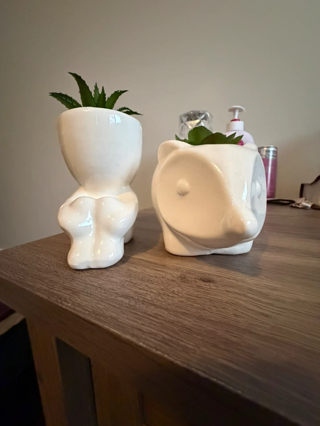 White Ceramic Planters - Figure & hedgehog