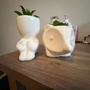 White Ceramic Planters - Figure & hedgehog