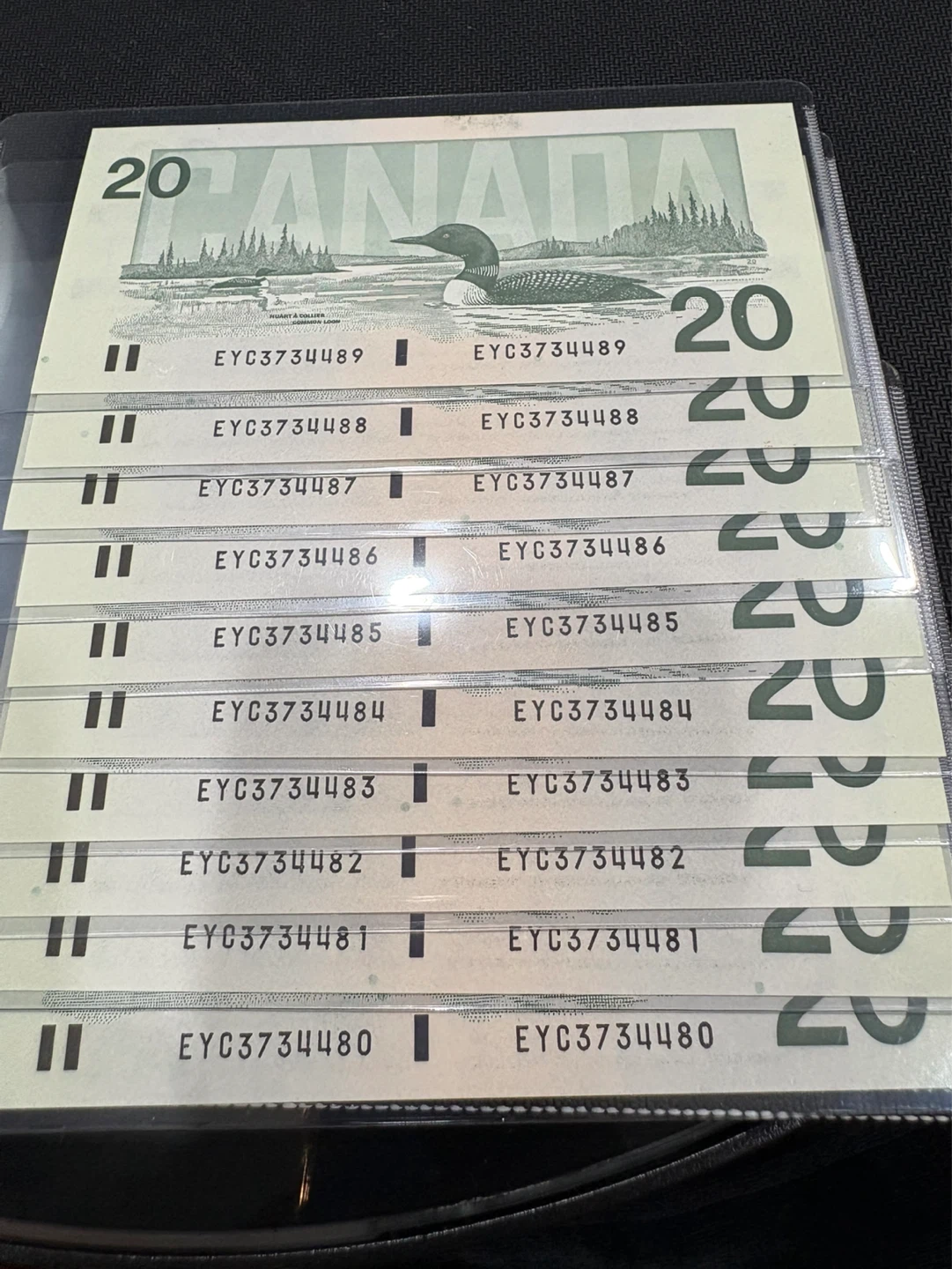 Lot of 9 consecutive Canadian $20 Bank Notes mint condition