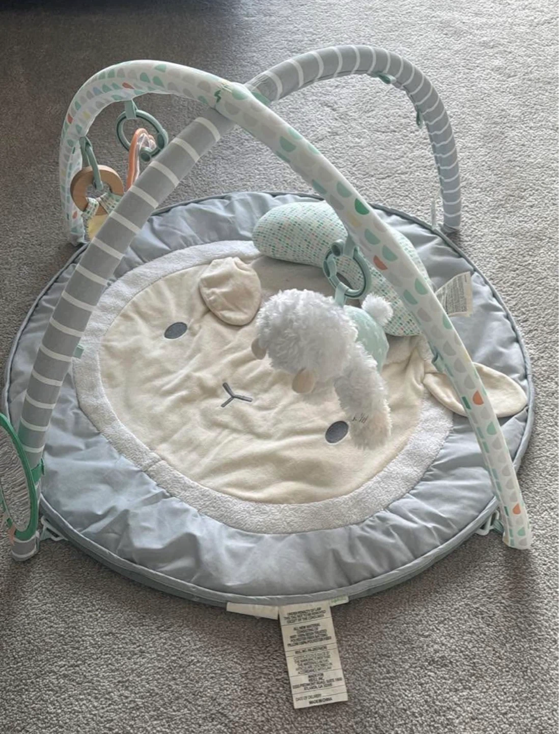 Baby Play Gym Activity Mat