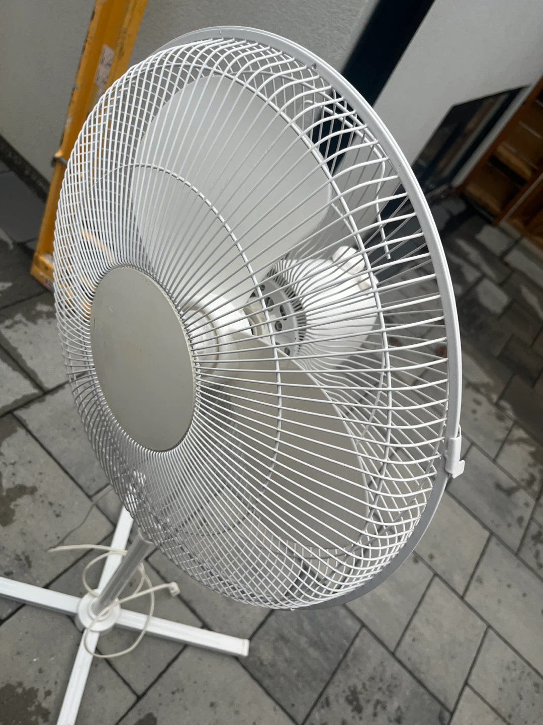 Fan