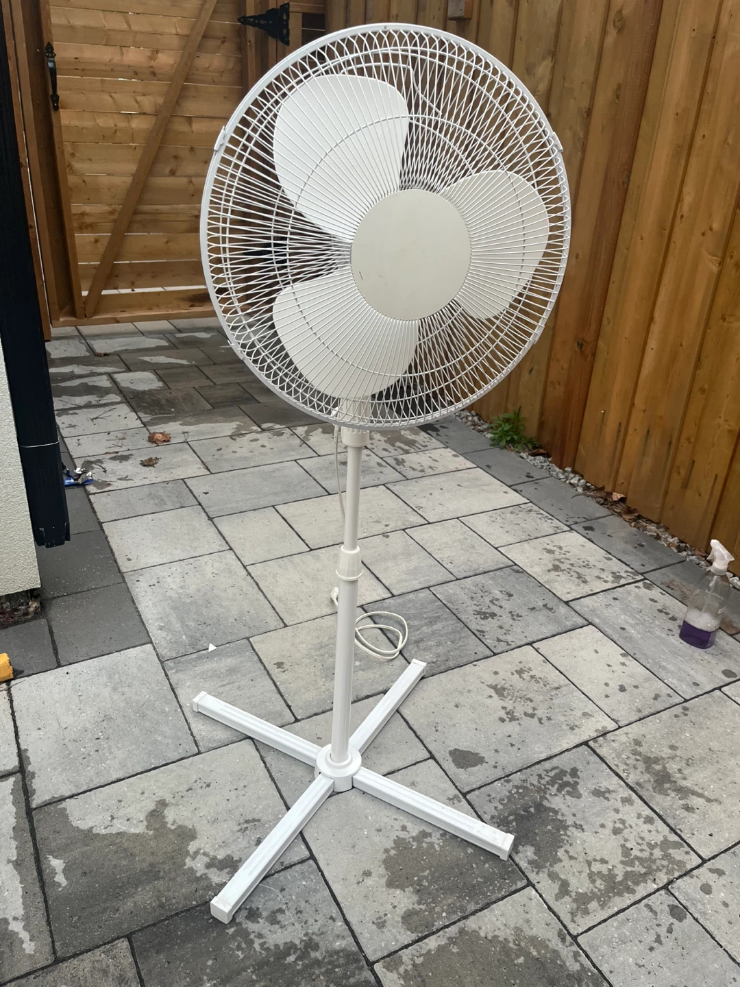 Fan - photo 3
