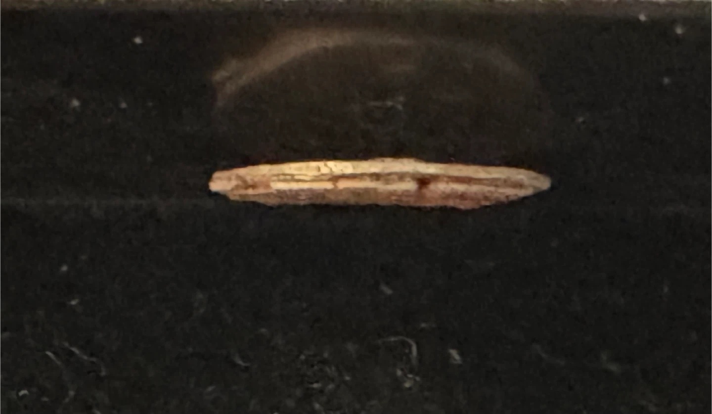 Two Renaissance Era German States Silver Coins Fused Together - photo 3