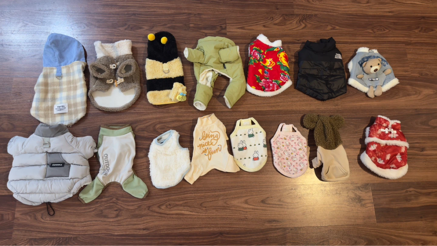 Dog Clothes