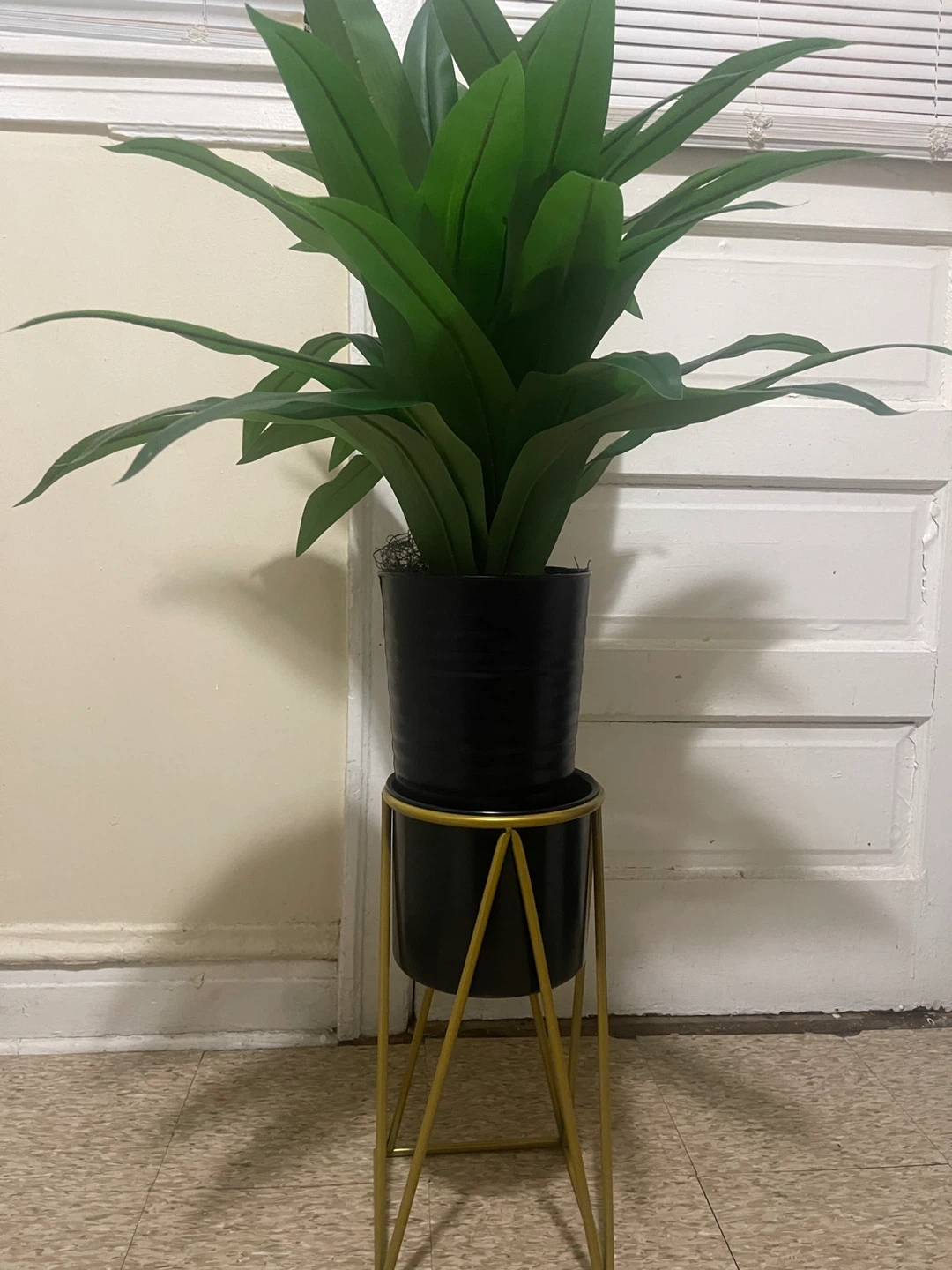 Black Metal Plant Pot with Gold Stand