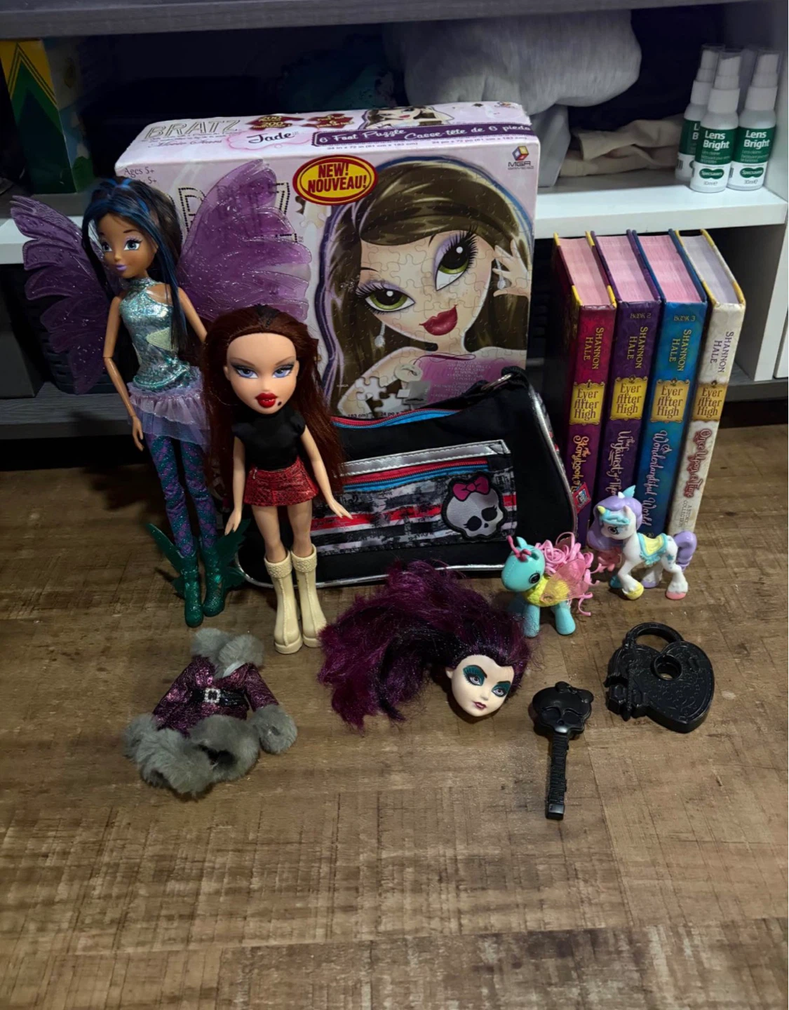 Monster High, Winx, Lalaloopsy, Bratz & EAH bundle lot