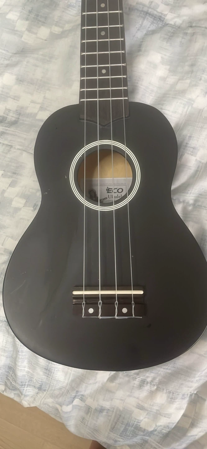 ECO Black Ukulele Starter Kit with Case - photo 2