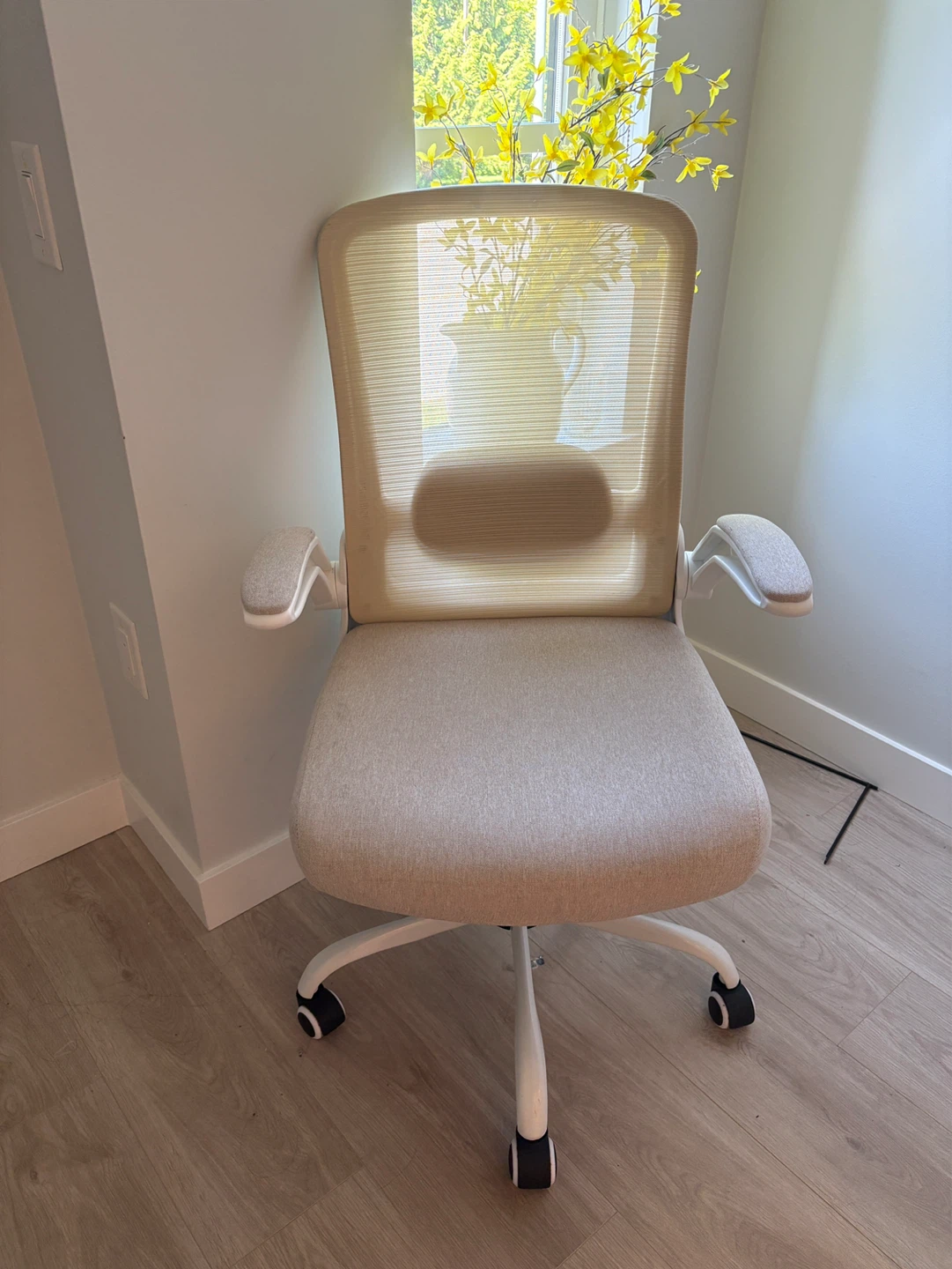 Ergonomic Office Chair - Beige