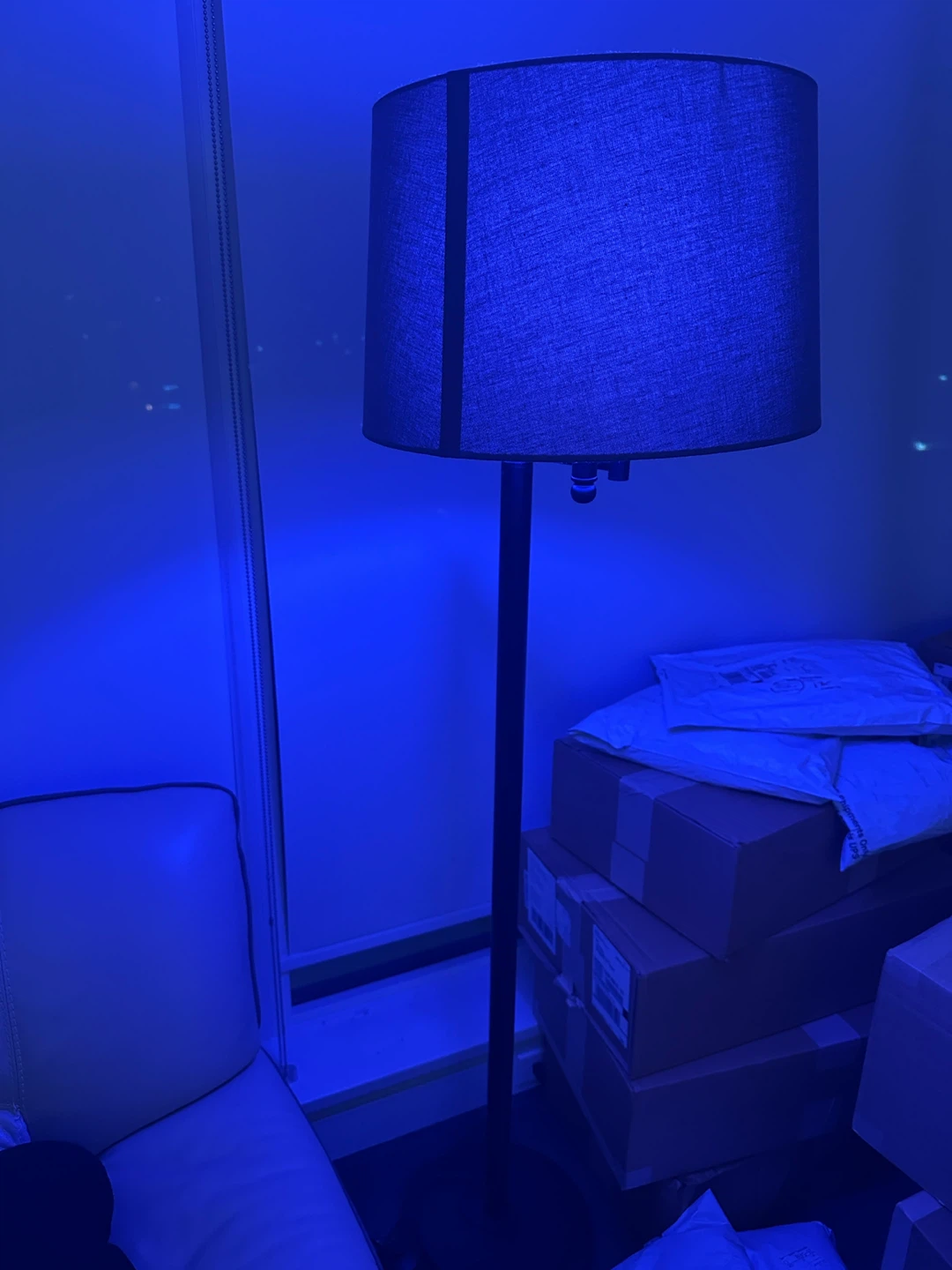 Floor Lamp - photo 5