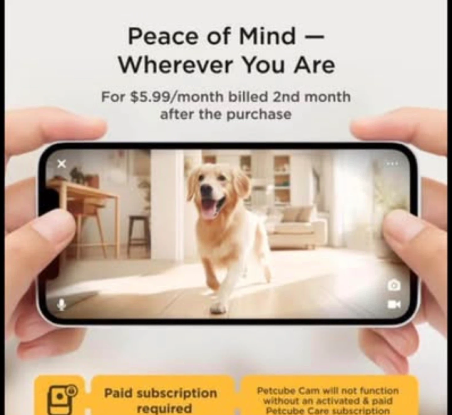 Petcube Pet Camera - photo 3