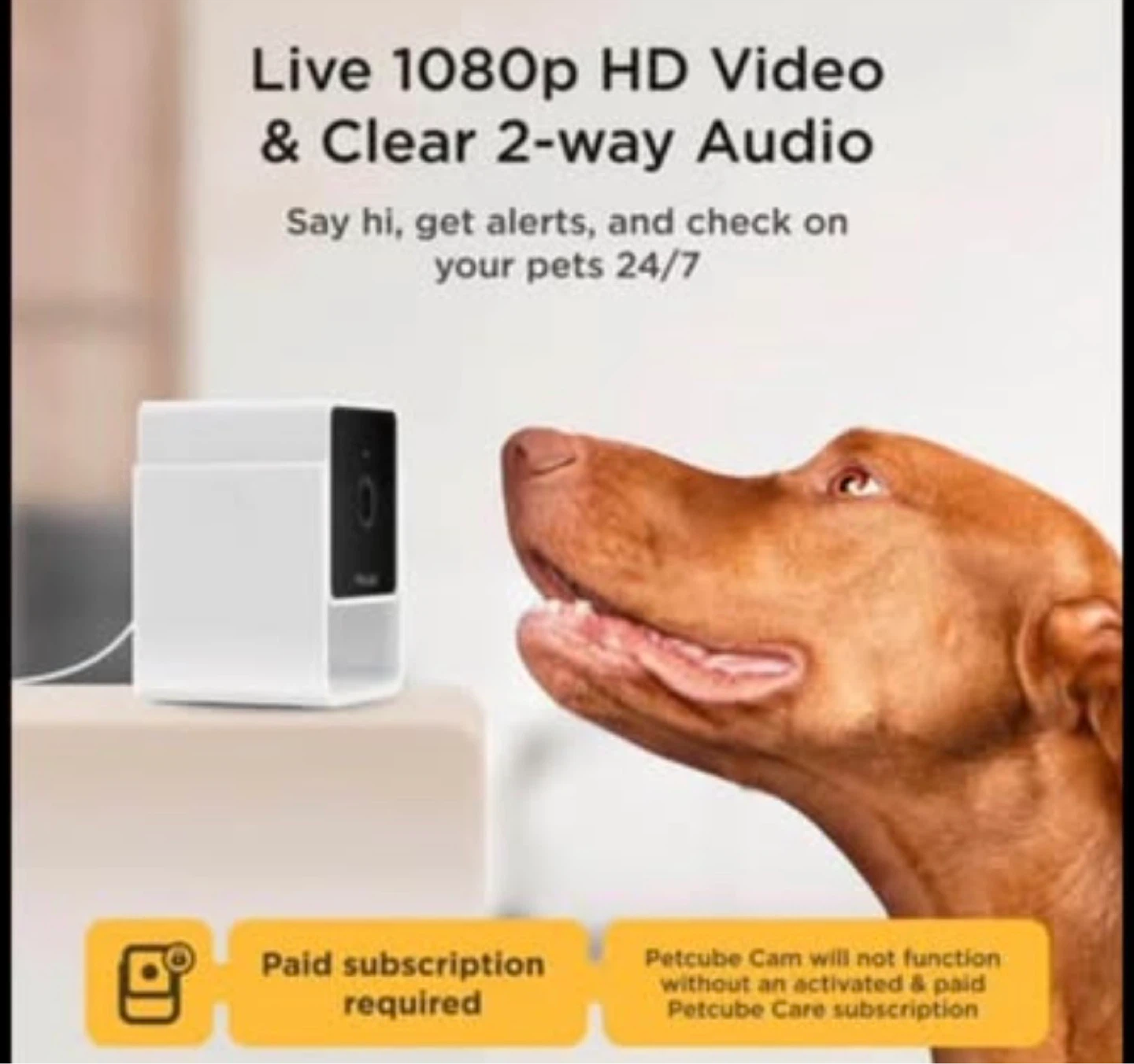 Petcube Pet Camera