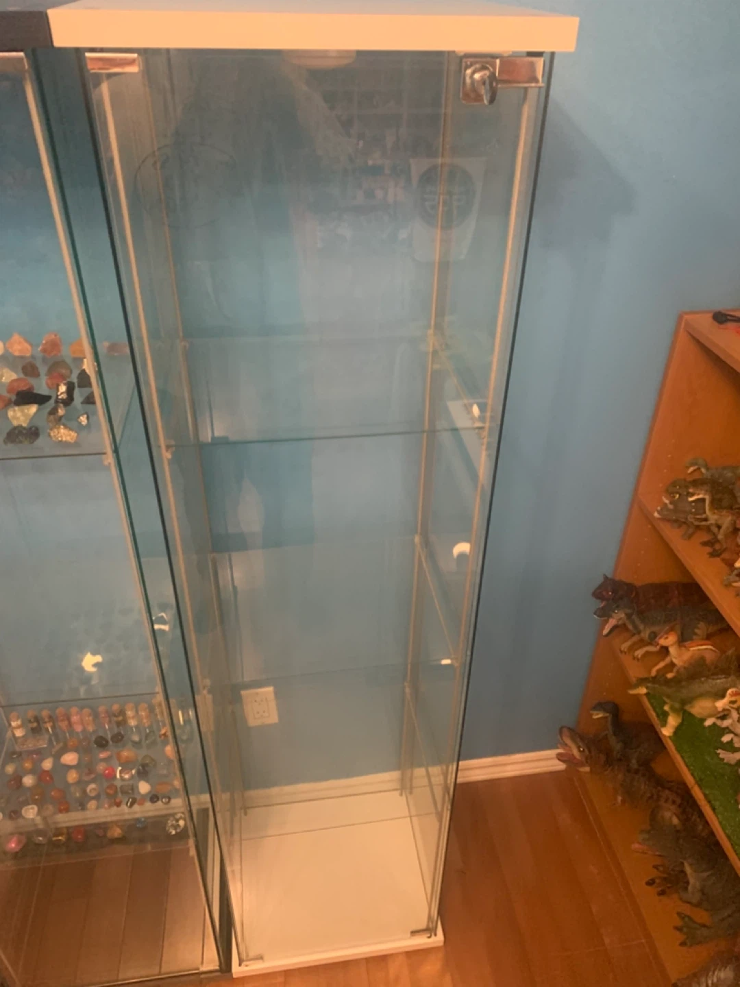 Glass Display Cabinet