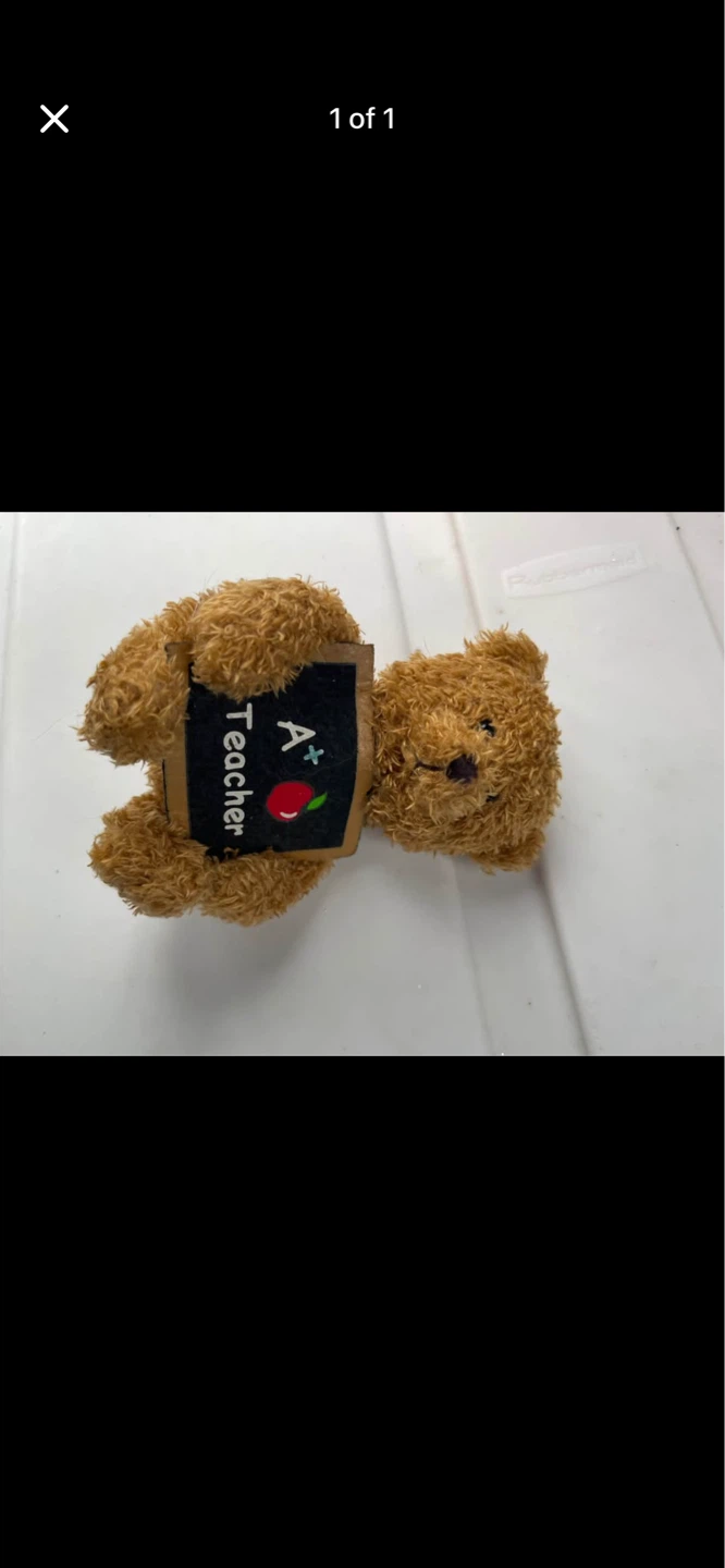 Teacher Teddy Bear Plush