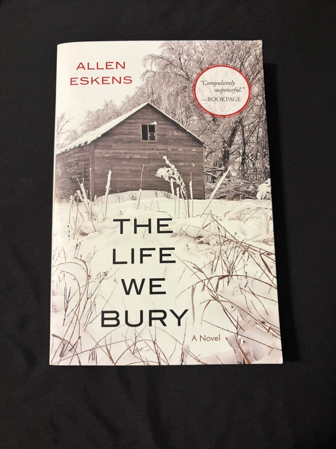 The Life We Bury by Allen Eskens Novel
