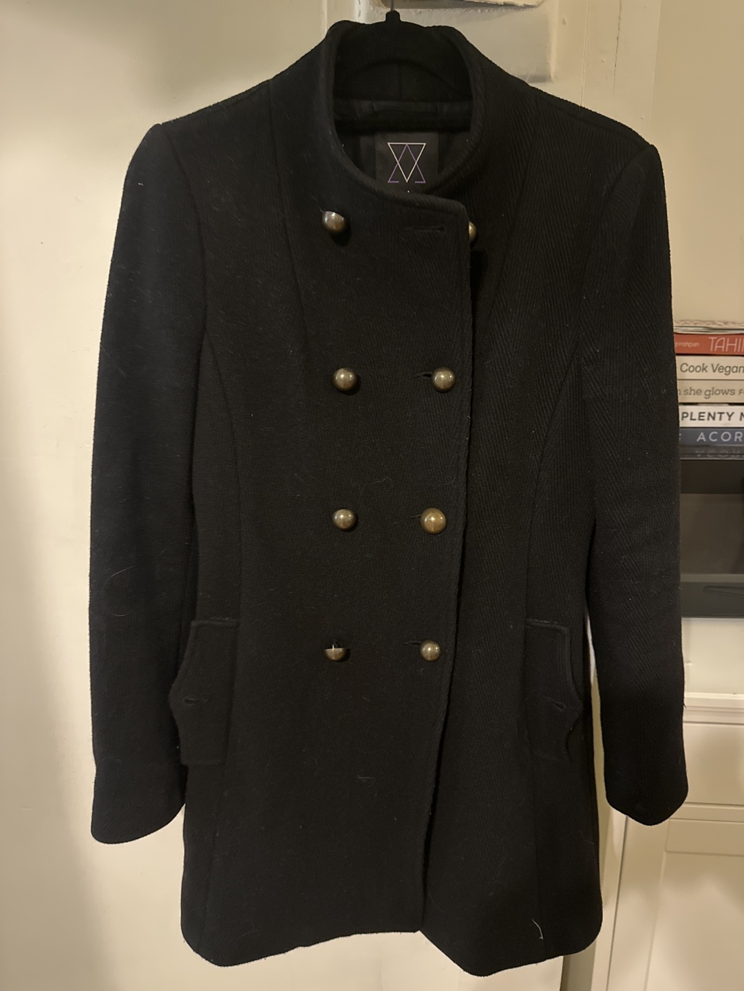 Aritzia peacoat