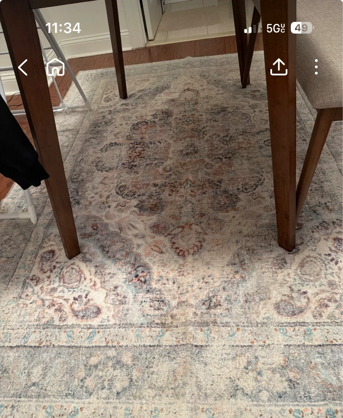 Area Rug - 5x7 - Vintage Style, Neutral Tones - photo 2