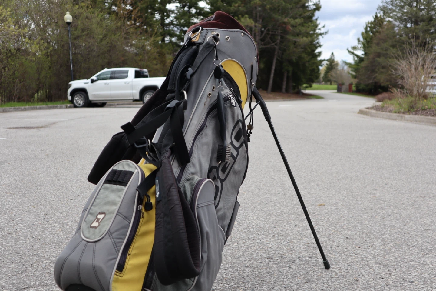 Ogio Golf Stand Bag - photo 3