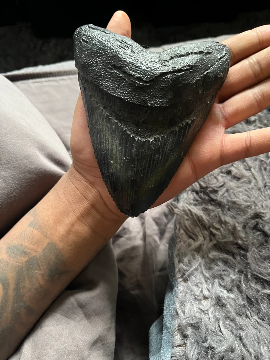 Megalodon Shark Tooth Fossil replica - photo 5