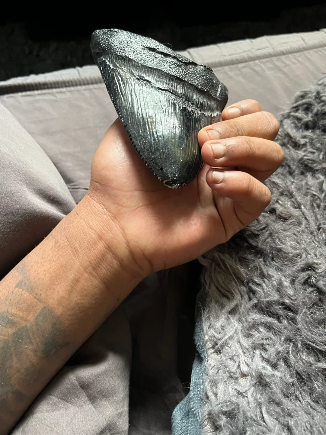 Megalodon Shark Tooth Fossil replica - photo 4