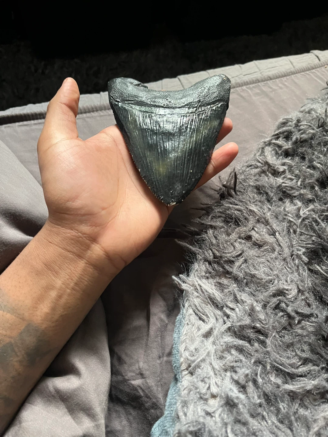 Megalodon Shark Tooth Fossil replica - photo 2