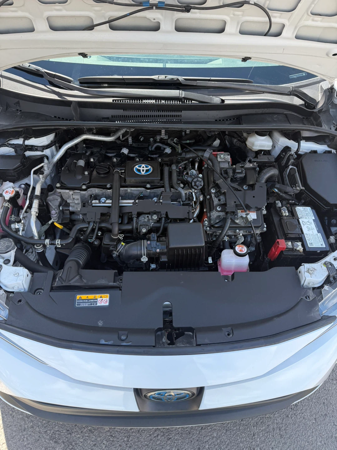 Corolla 2024 Le Hybrid - photo 2