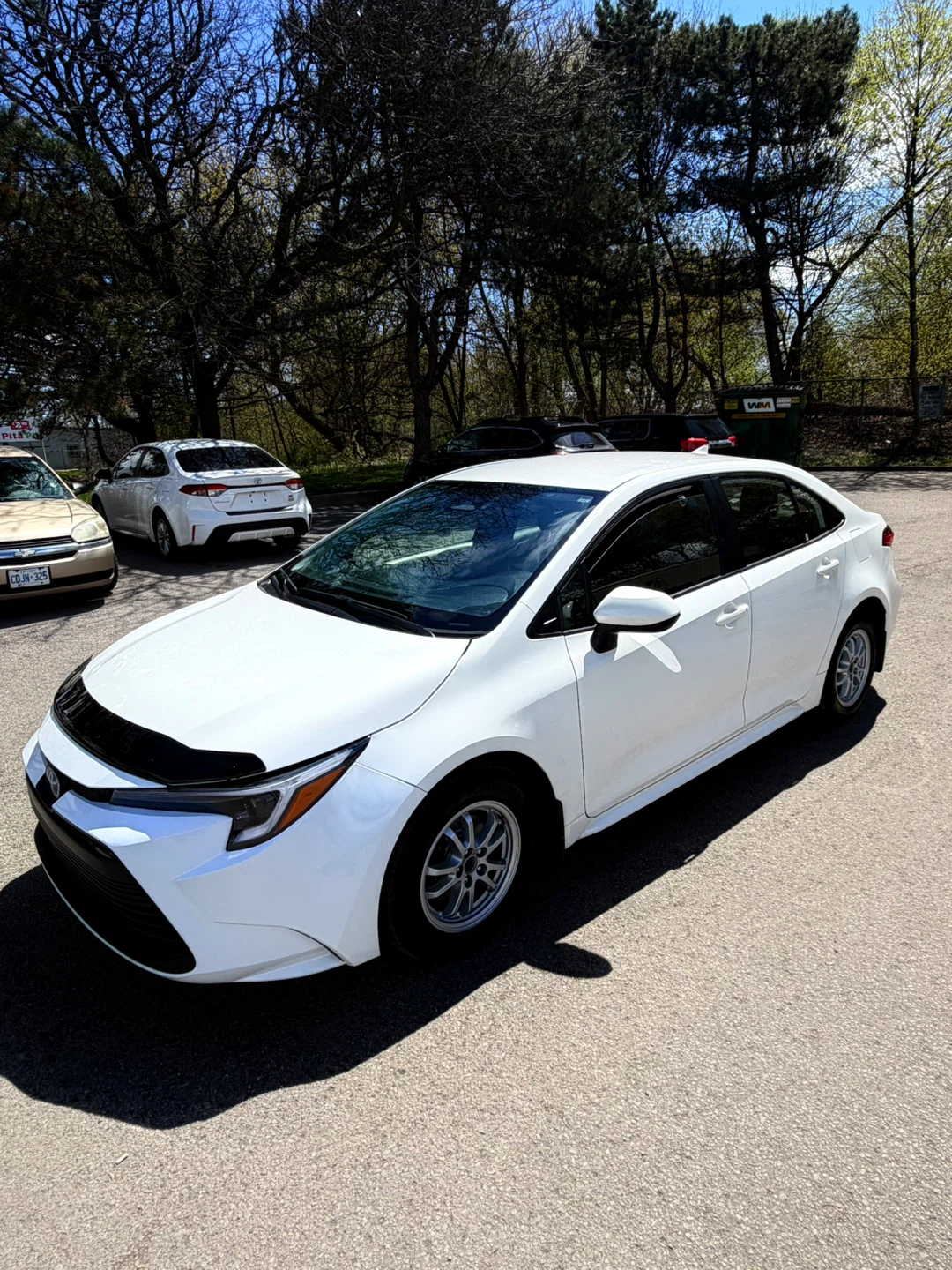 Corolla 2024 Le Hybrid - photo 3