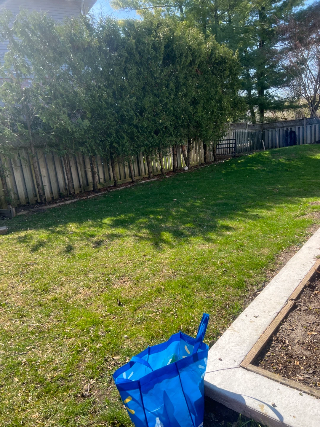 Lawn mowing