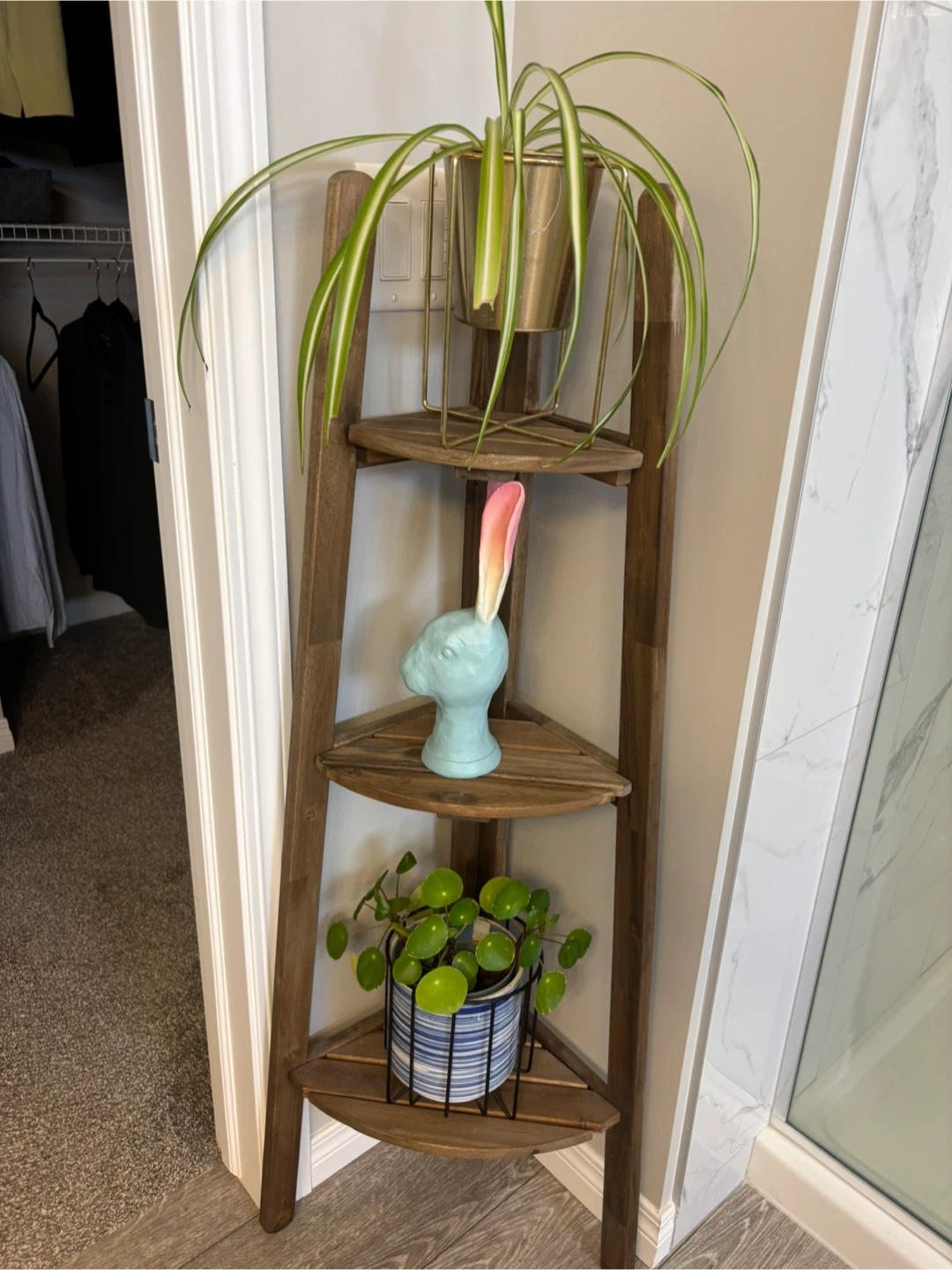 Corner Shelf Unit with Potted Plantes
